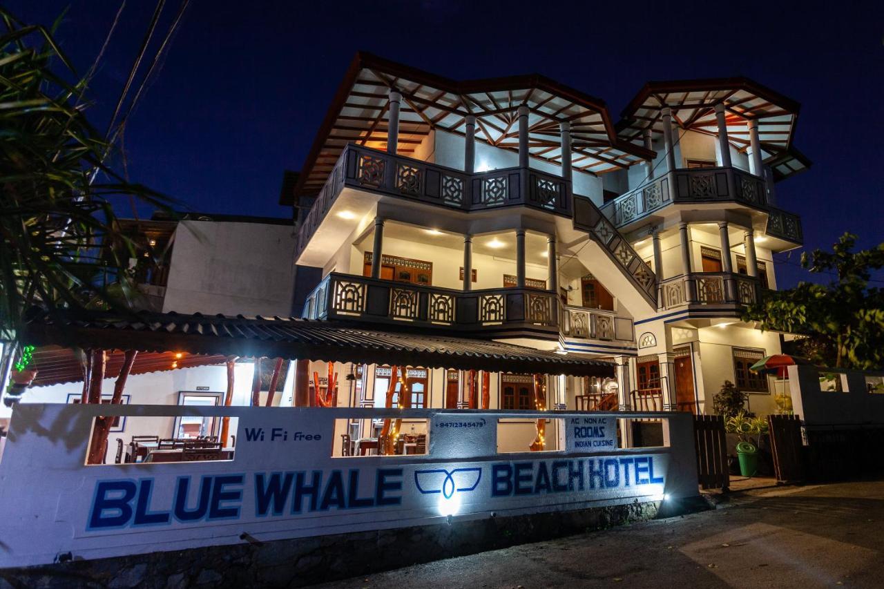 Bluewhale Beach Hotel Tangalle Zewnętrze zdjęcie