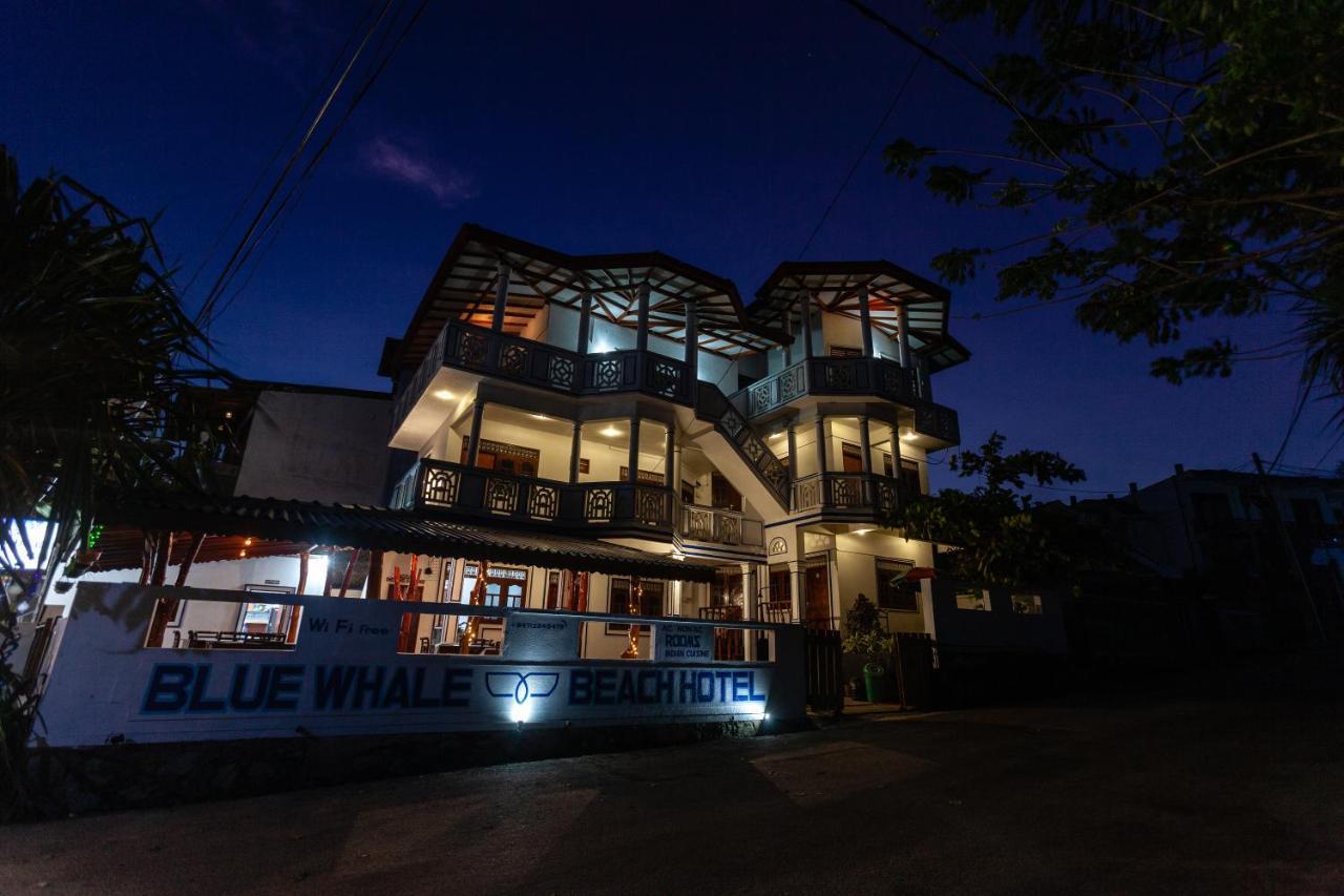 Bluewhale Beach Hotel Tangalle Zewnętrze zdjęcie